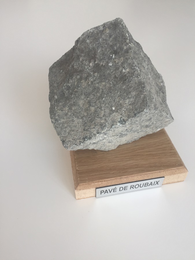 Paris Roubaix 2019
