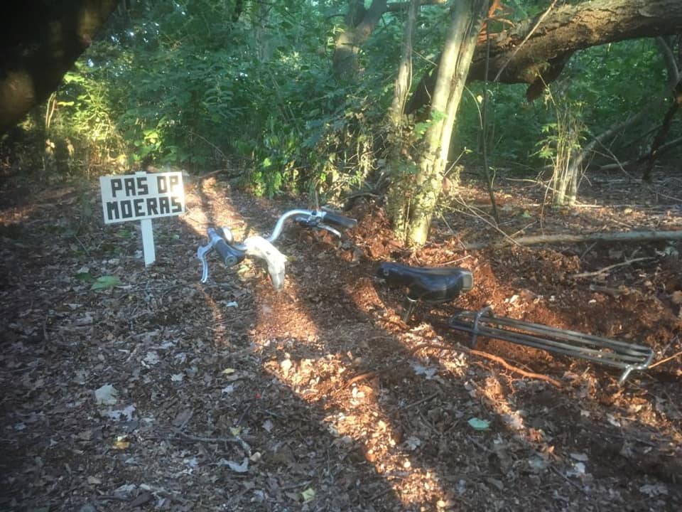 hel van de peel: moeras