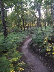 atb rit 16 juni 2021, route Liessel