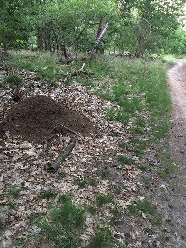 atb rit 16 juni 2021, route Liessel