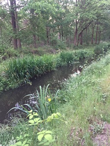 atb rit 16 juni 2021, route Liessel