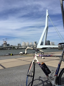 vakantierit 2021, Rotterdam Erasmusbrug