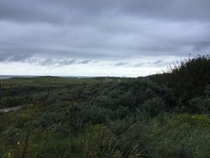 vakantierit 2021, duinen