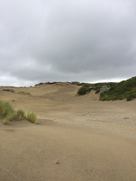 vakantierit 2021, duinen