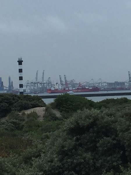 vakantierit 2021, Hoek van Holland