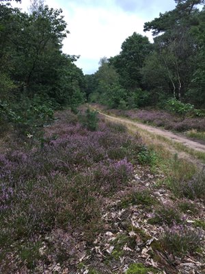 onderhoud ATB route 2021, heide