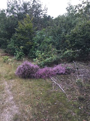 onderhoud ATB route 2021, van alles te zien