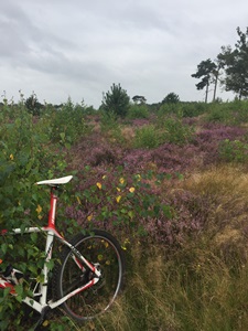 vakantierit 2021, Strabrechtse heide