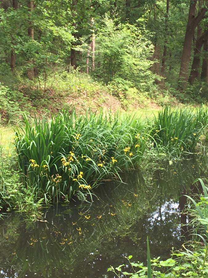 atb route Liessel, juni 2022