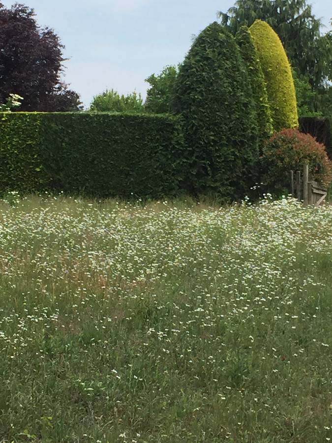 atb route Liessel, juni 2022