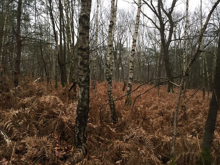 onderhoud ATB route Liessel