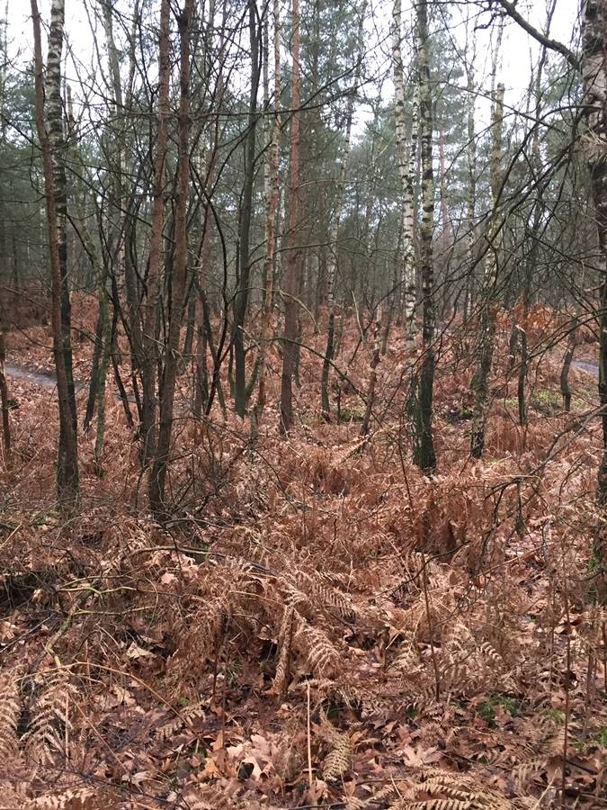 onderhoud ATB route Liessel 2023