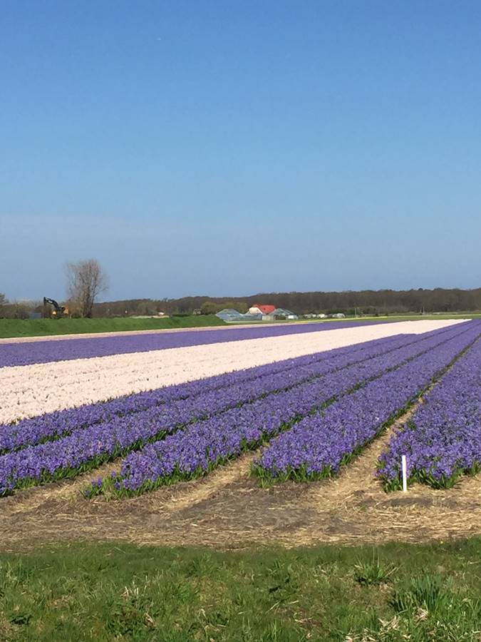 Marmatrimmers, voorjaarsritten 2023