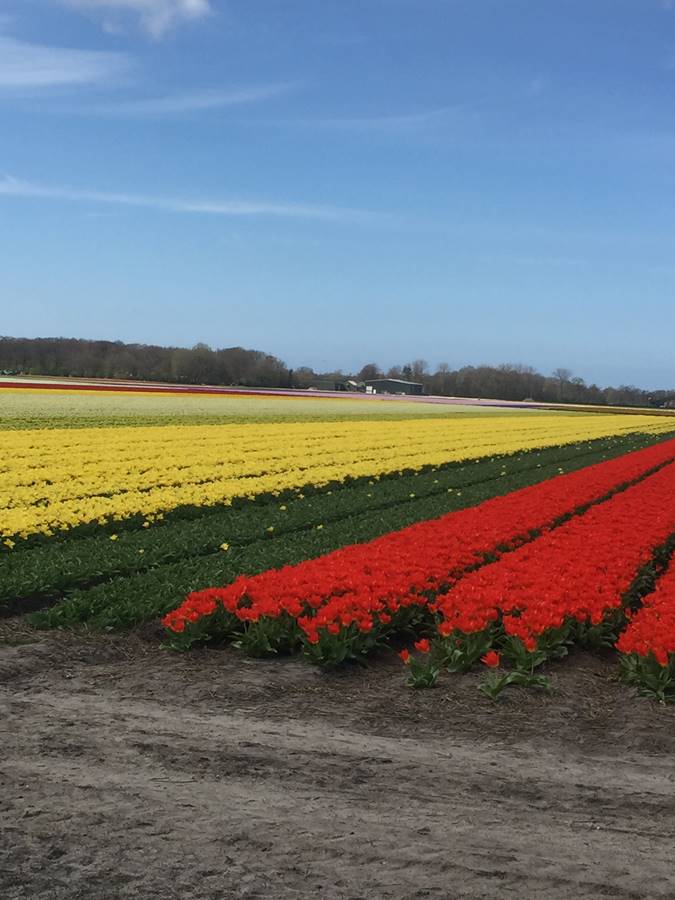 Marmatrimmers, voorjaarsritten 2023